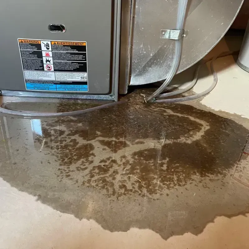 Appliance Leak Cleanup in Riverview, FL